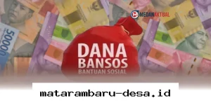 Langkah Praktis Cek Status Pencairan Bansos PKH dan BPNT Hanya Pakai HP!