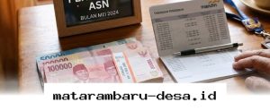 Berapa Gaji PPPK Tahun 2026? Cek Besaran Terbarunya Sesuai Aturan Resmi Menpan RB!