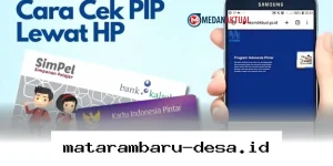 Panduan Praktis Mengecek Status dan Jadwal Pencairan Dana PIP 2026 Lewat HP